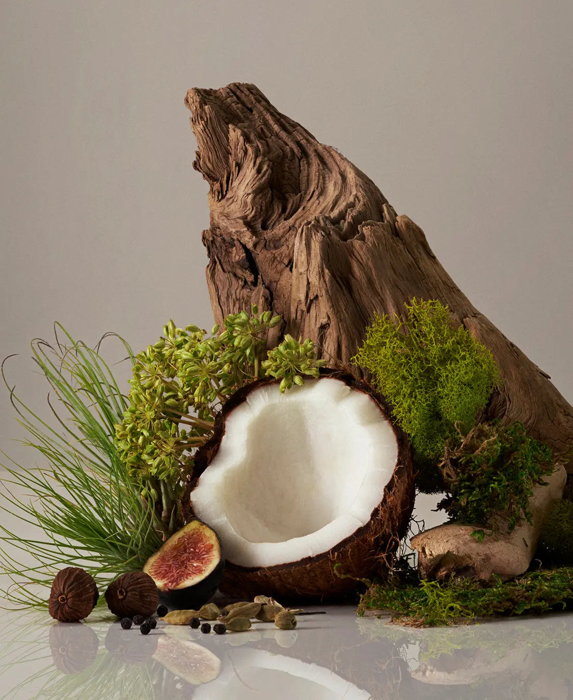 Candle Homecourt
