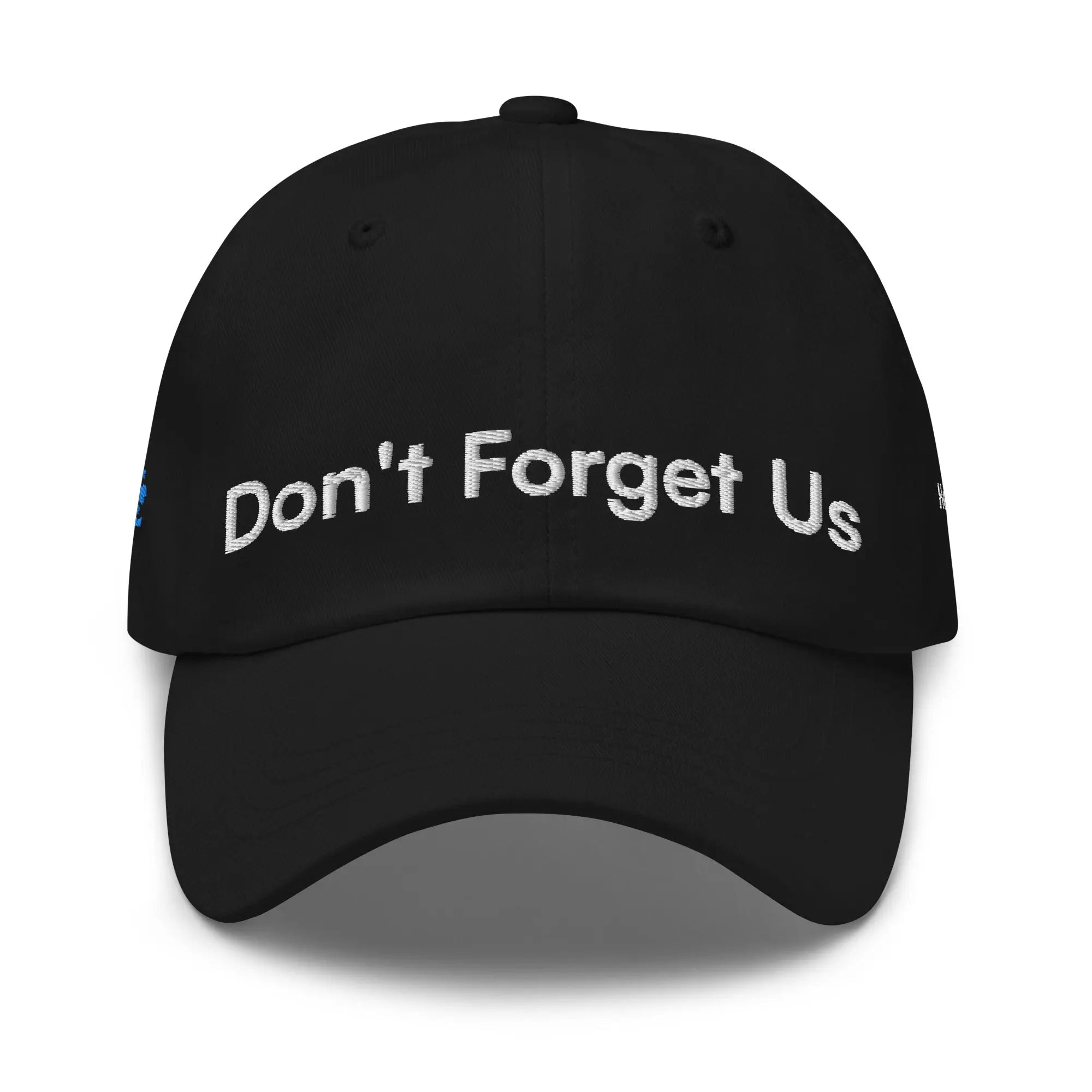 Don't Forget Us - Hurricane Helene Natural Disaster Relief Dad Hat TENWRA™
