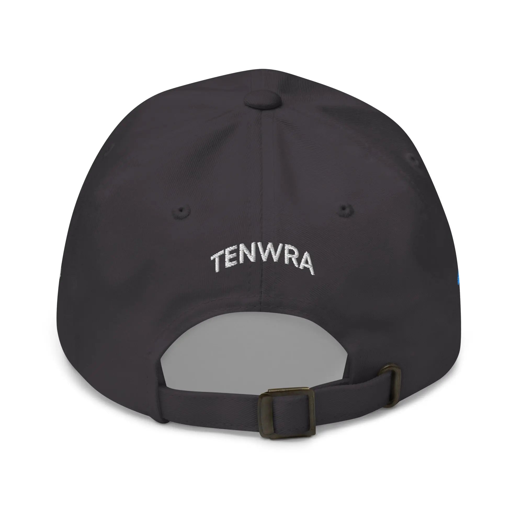 Don't Forget Us - Hurricane Helene Natural Disaster Relief Dad Hat TENWRA™