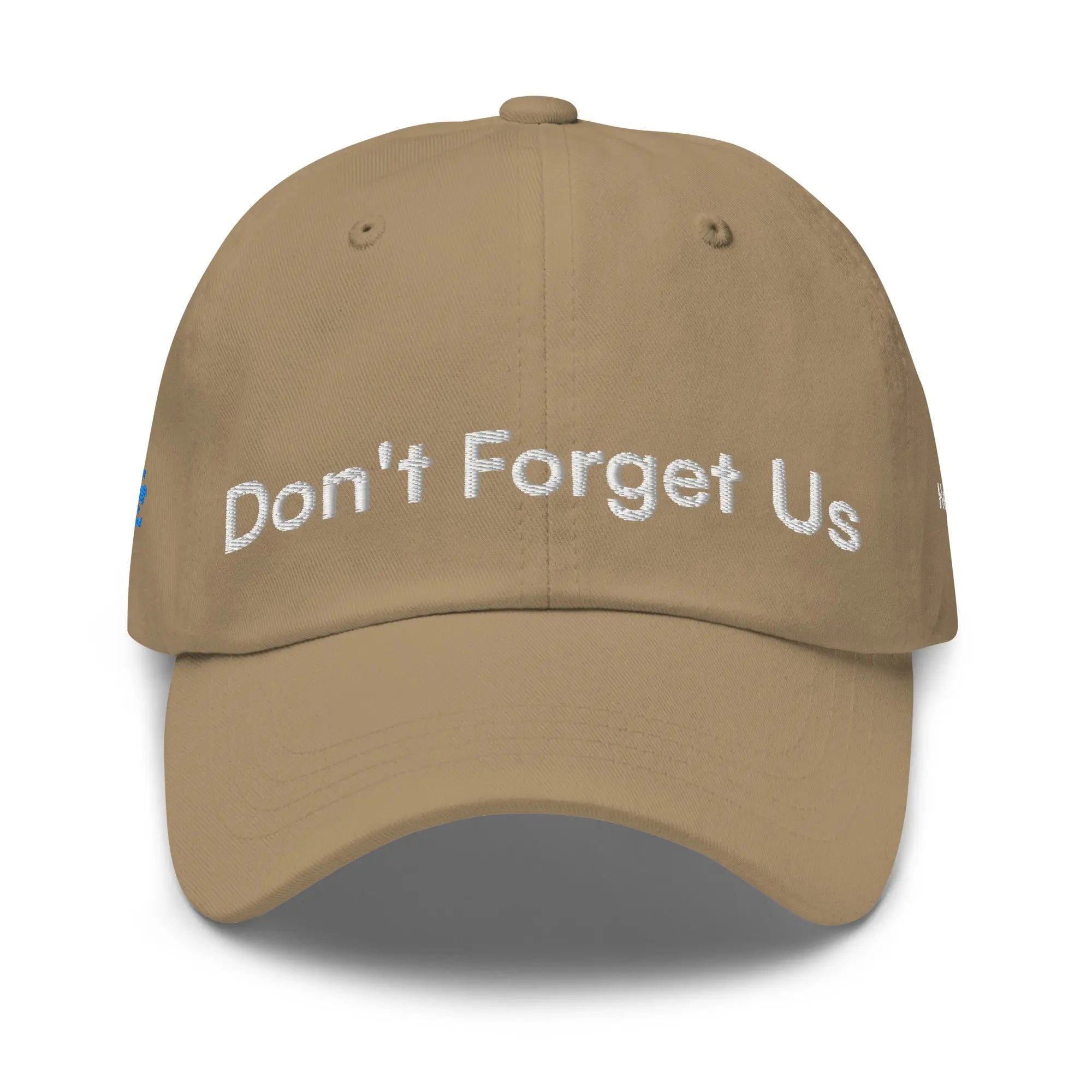 Don't Forget Us - Hurricane Helene Natural Disaster Relief Dad Hat TENWRA™