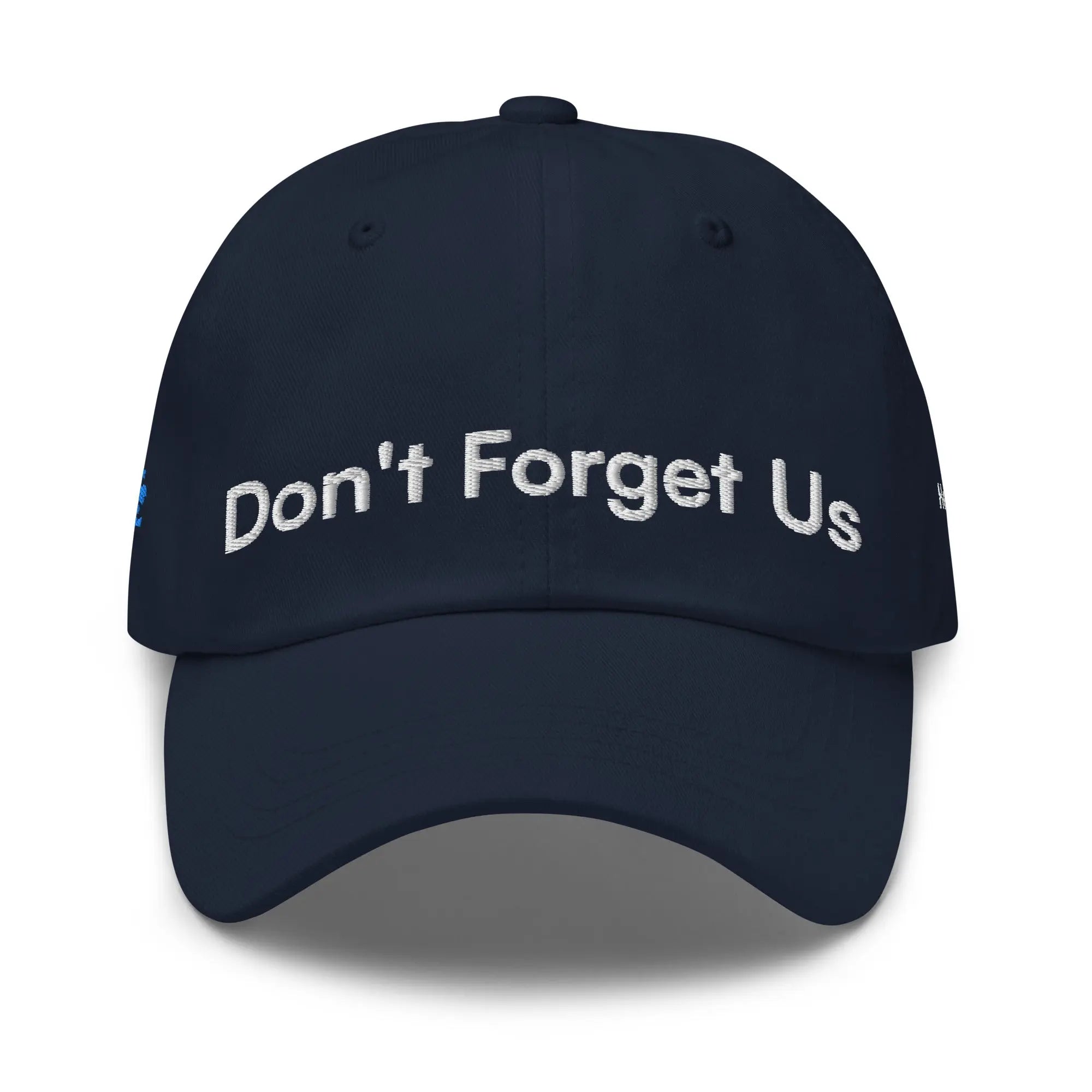 Don't Forget Us - Hurricane Helene Natural Disaster Relief Dad Hat TENWRA™